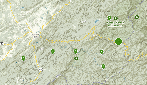 Best Walking Trails near Tellico Plains, Tennessee | AllTrails