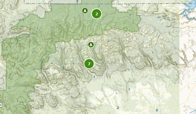 Best Forest Trails near Altamont, Utah | AllTrails