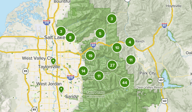 Beste Waldwege In Der Nahe Von Salt Lake City Utah Alltrails