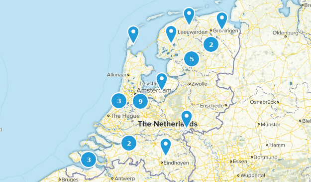 Best Dog Friendly Trails in Netherlands | AllTrails