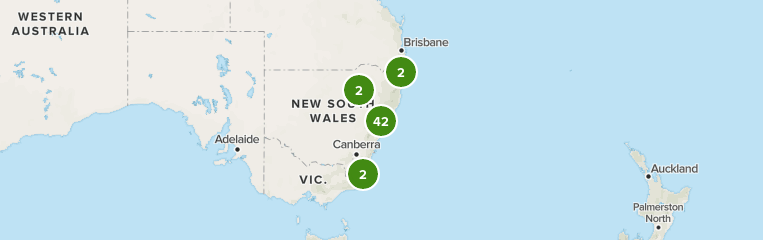 best stroller for trails