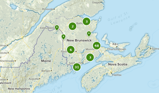 Best Bird Watching Trails in New Brunswick Canada | AllTrails