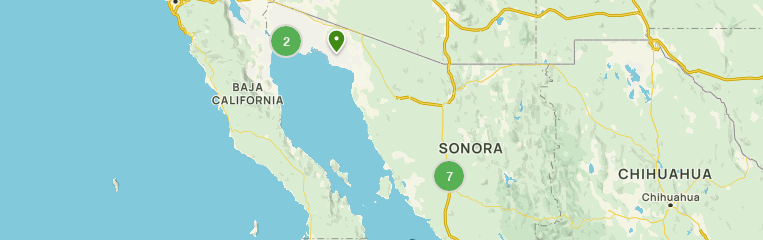 Las 10 mejores rutas para ver flores silvestres en Sonora en 2023 |  AllTrails