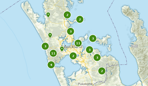 Best Kid Friendly Trails in Auckland New Zealand | AllTrails