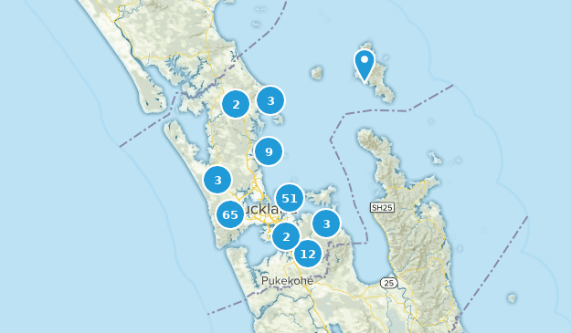 Best Walking Trails in Auckland New Zealand | AllTrails