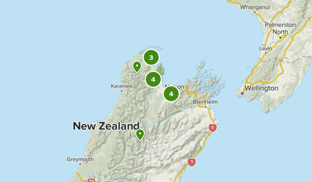 Best Running Trails in Nelson-Tasman New Zealand | AllTrails