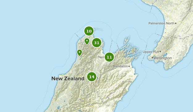 Best Walking Trails in Nelson-Tasman New Zealand | AllTrails