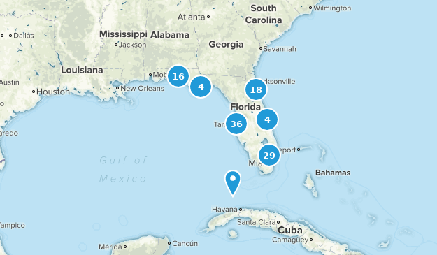 Best Beach Trails In Florida Alltrails Florida Beach Map