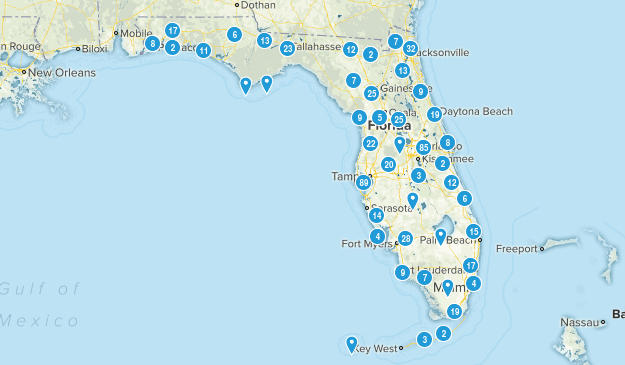 Best Birding Trails in Florida | AllTrails