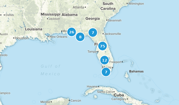 Best Camping Trails in Florida - Us Florida Camping 10 20190722062239 625x365 1 