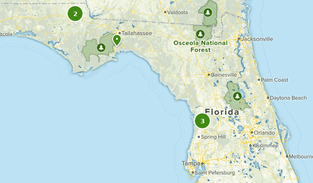 Best Cave Trails in Florida AllTrails - Us Florida Cave 10 20200317080720000000000 625x365 1 