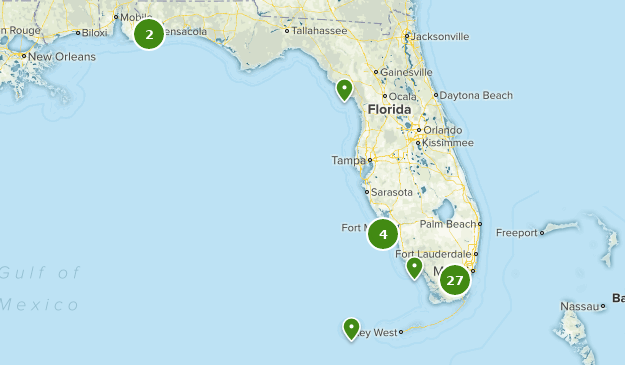 Best National Parks in Florida | AllTrails