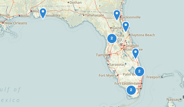 Best Off Road Driving Trails in Florida | AllTrails.com