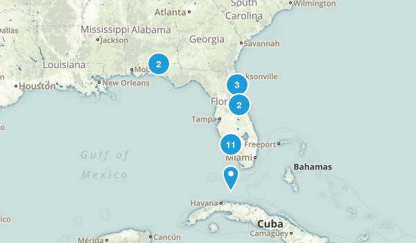 Best Scenic Driving Trails in Florida - Us Florida Scenic Driving 10 20170622234943 600x350 1 