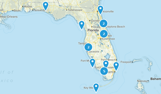 Best Scenic Driving Trails in Florida | AllTrails