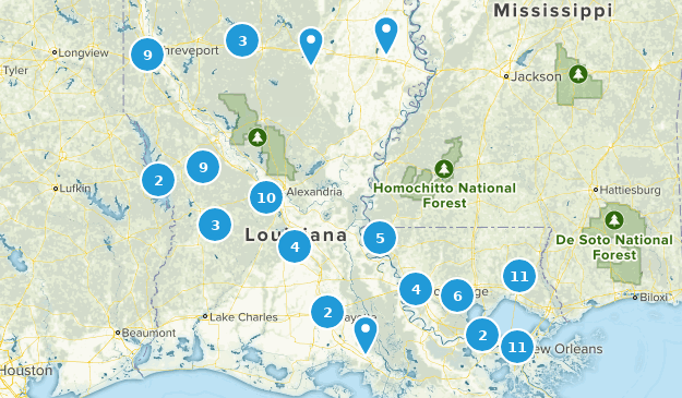 Best Forest Trails in Louisiana | AllTrails