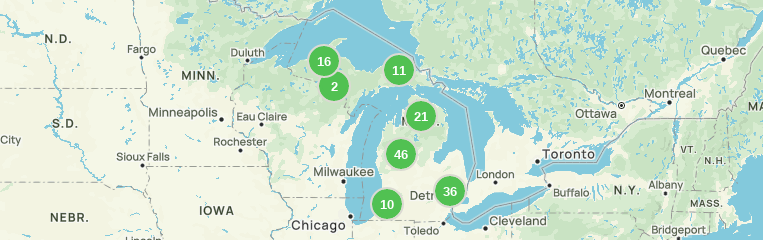 Pesca de salmón en el estanque Michigan: cosas que debe aprender - ✔️Todo  sobre viajes✔️