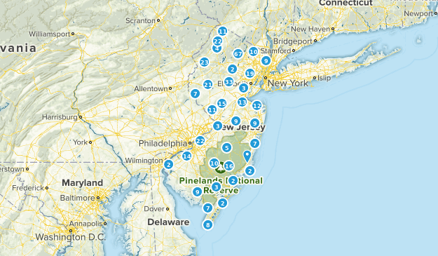 Best Bird Watching Trails in New Jersey | AllTrails