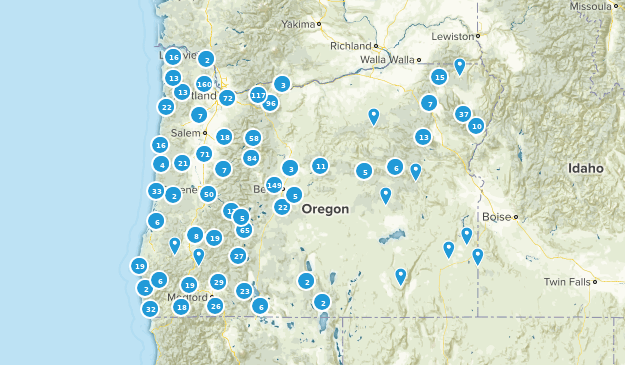 Best Forest Trails in Oregon - Us Oregon Forest 38 20190815072016 625x365 1 