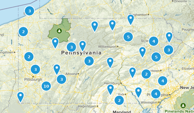 Best Snowshoeing Trails in Pennsylvania | AllTrails