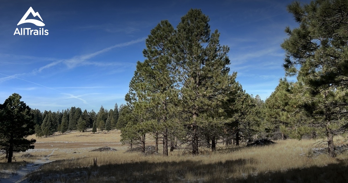 Flagstaff Area Trails | List | AllTrails