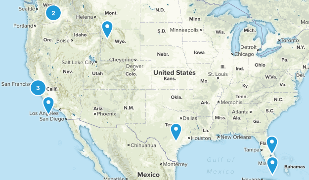 Wildlife Viewing Map