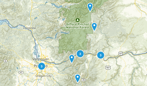 Local Map