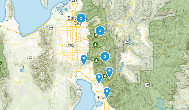 Dogs Map