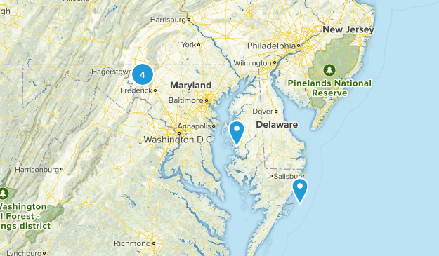MD Map