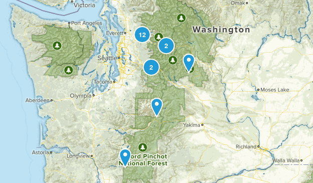 Near 98011 Map