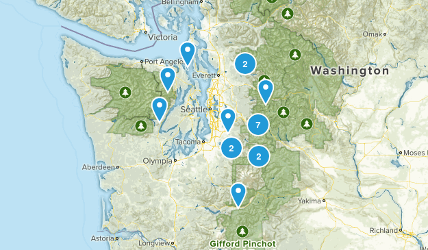 Washington Map
