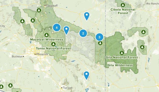 White Mtn trip Map