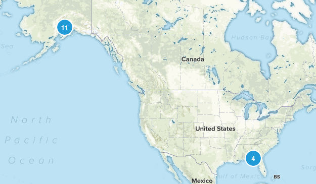 Dog Hikes Map