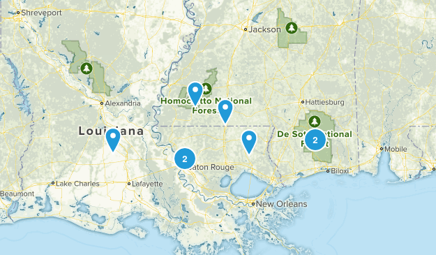 Evaluate & Trial Map