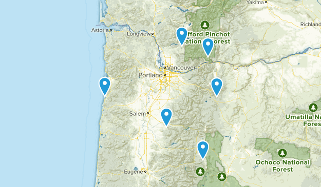 Summer Camp Spots Map