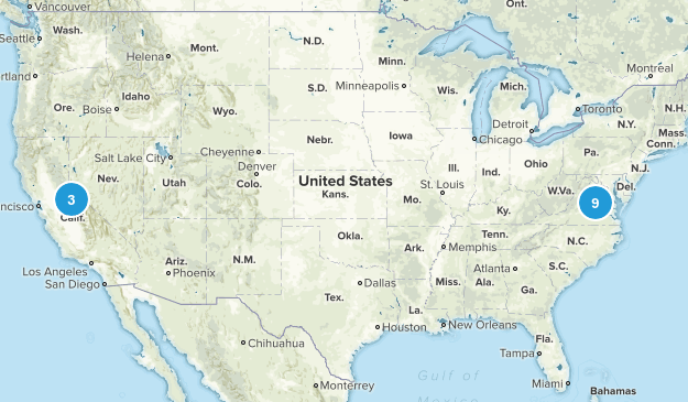 CRUSHED Map