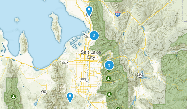 Dogs Map