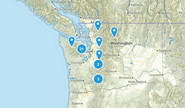 Dogs Map