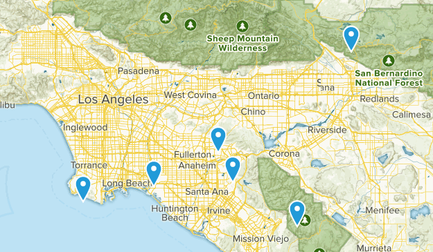 dogs Map