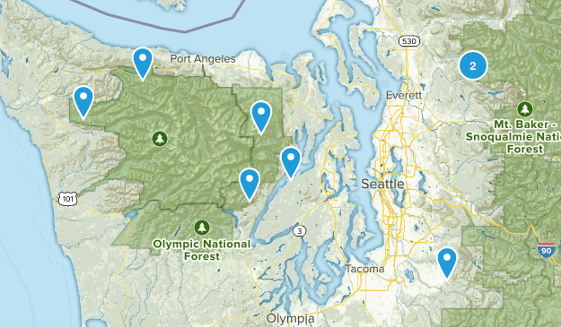 Fish Map