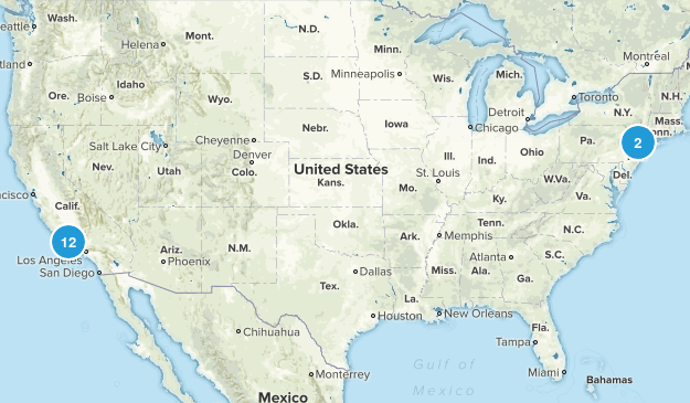 Dog Walks Map