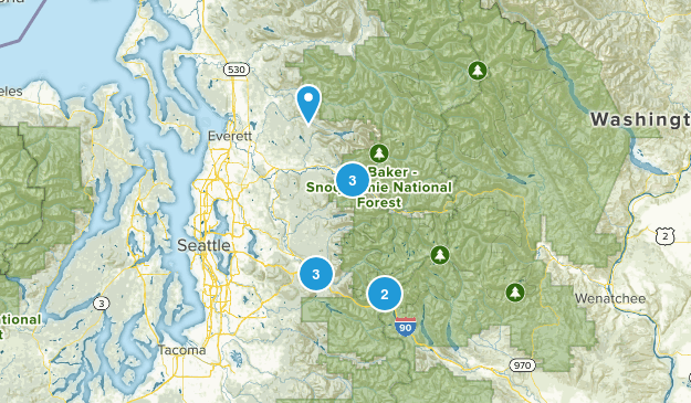 SecJ Prep Map
