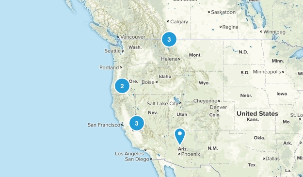 Kick-ass Trip Map