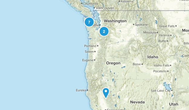 washington state Map