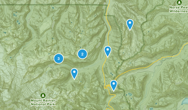 NE Rainier Trails Map