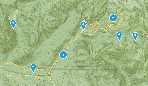 SW Rainier Trails Map