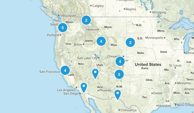 trip Map