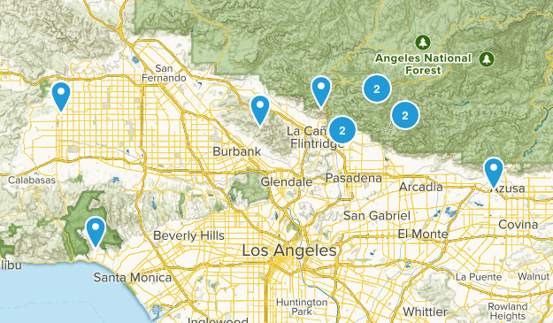 training Map