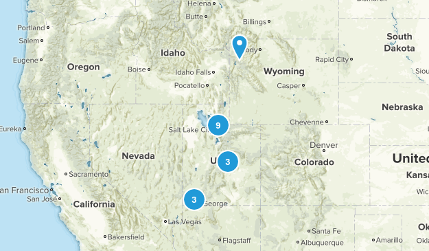 Need to Track Map