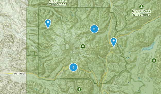 Mt. Rainier Map